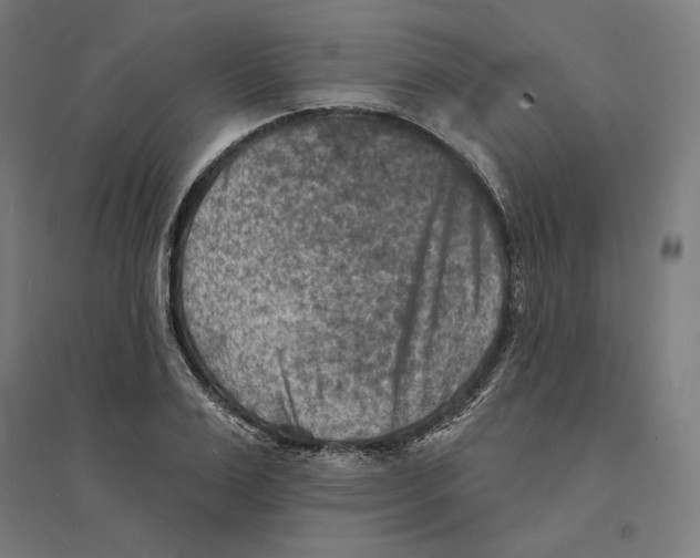 X0000094420983200712061047