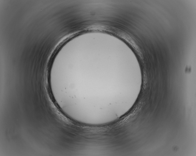 X0000094420984200712061047