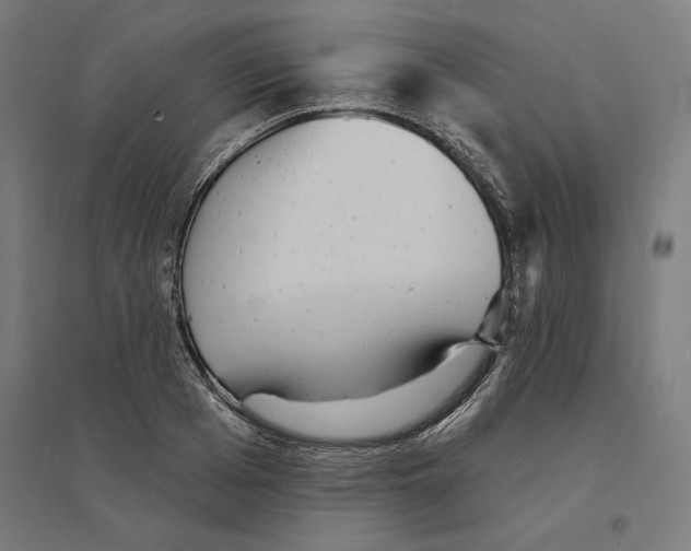 X0000094420985200712061047