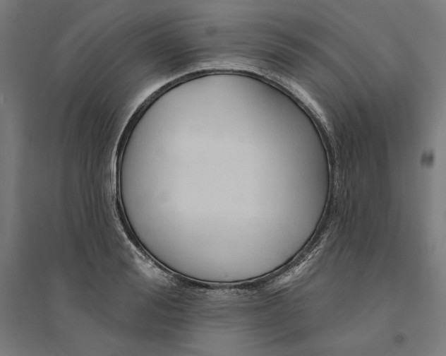 X0000094420988200712061047