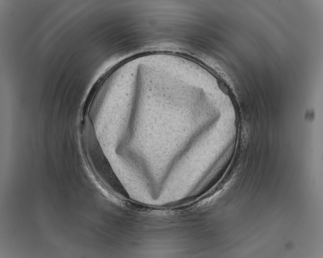 X0000094420989200712061047