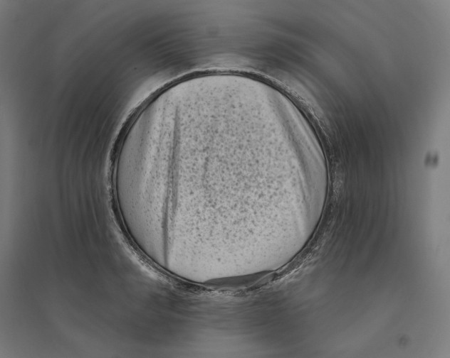 X0000094420990200712061047