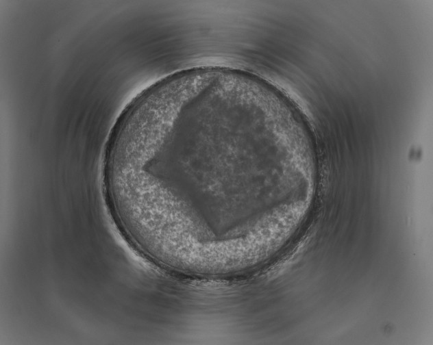 X0000094420991200712061047