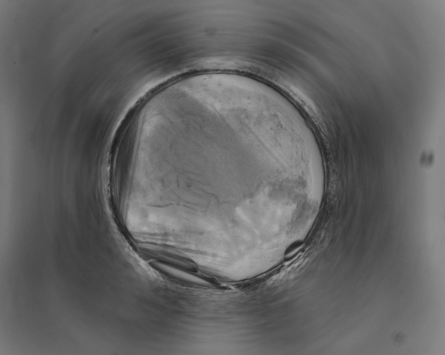 X0000094420992200712061047