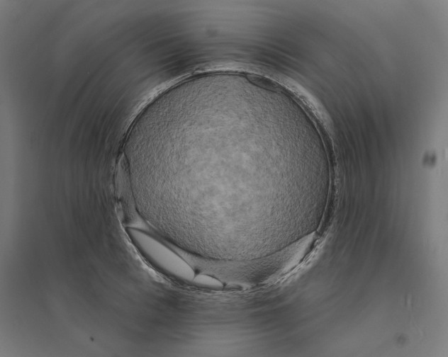 X0000094420993200712061047