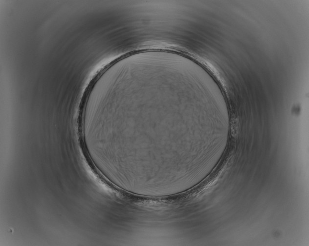 X0000094420995200712061047