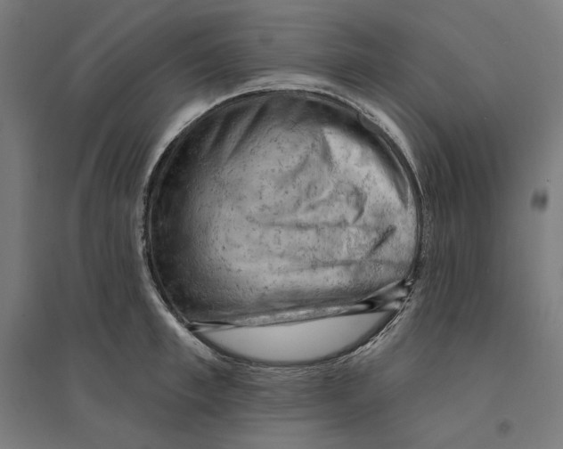 X0000094420997200712061047