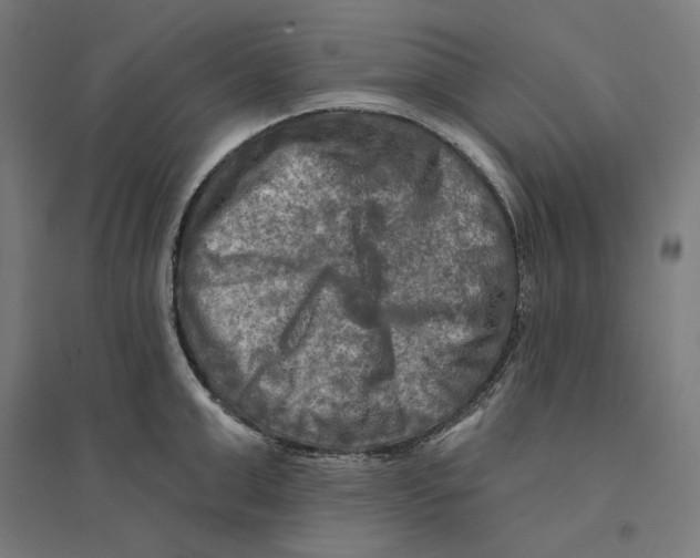 X0000094420999200712061047