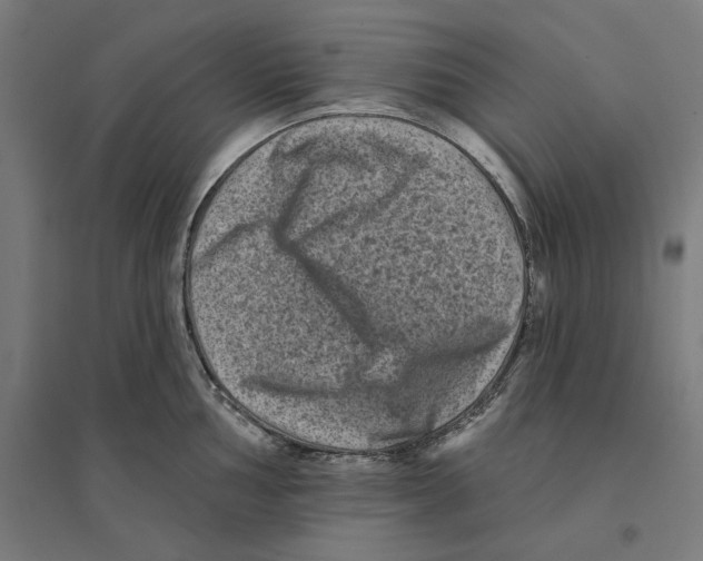 X0000094421002200712061047