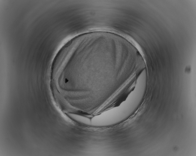 X0000094421005200712061047