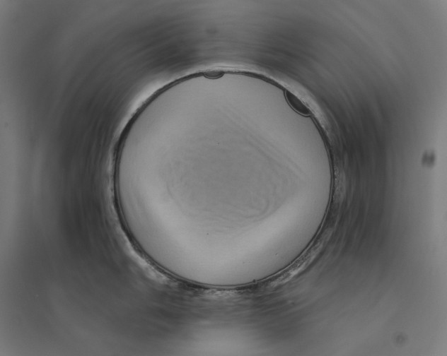 X0000094421006200712061047