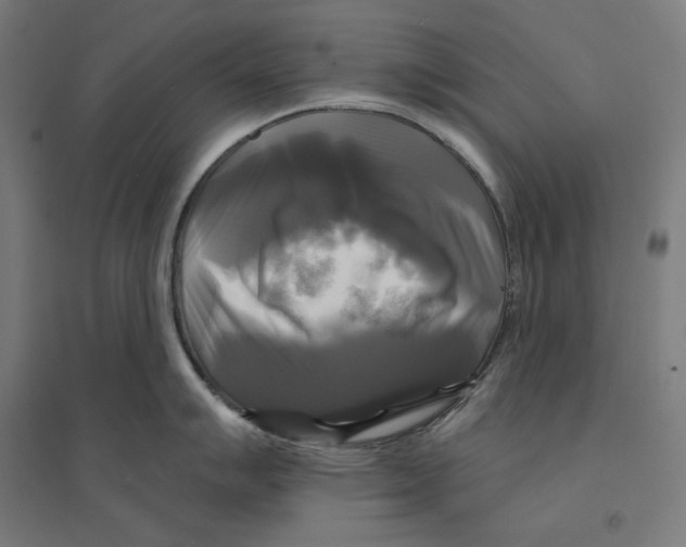 X0000094421007200712061047