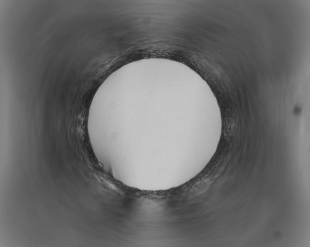 X0000094421010200712061046