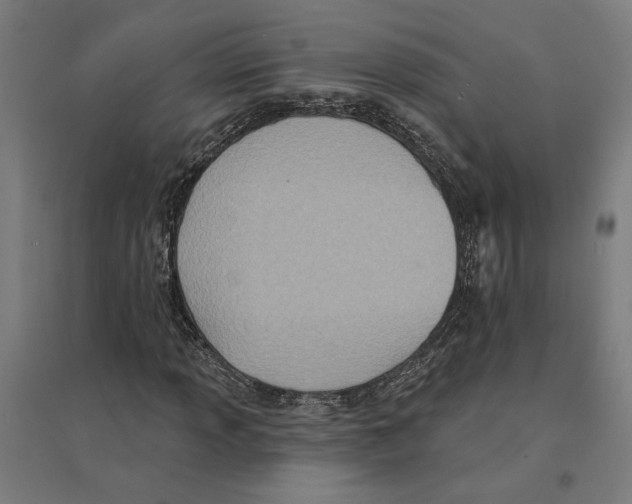 X0000094421013200712061046