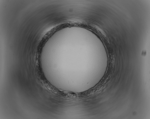 X0000094421016200712061046