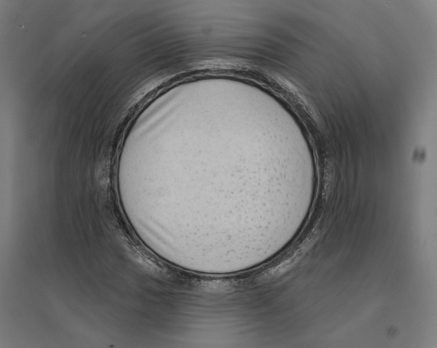 X0000094421017200712061046