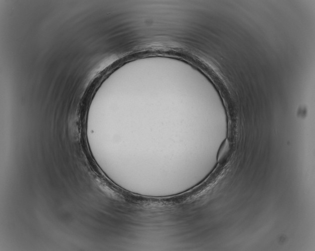 X0000094421018200712061046