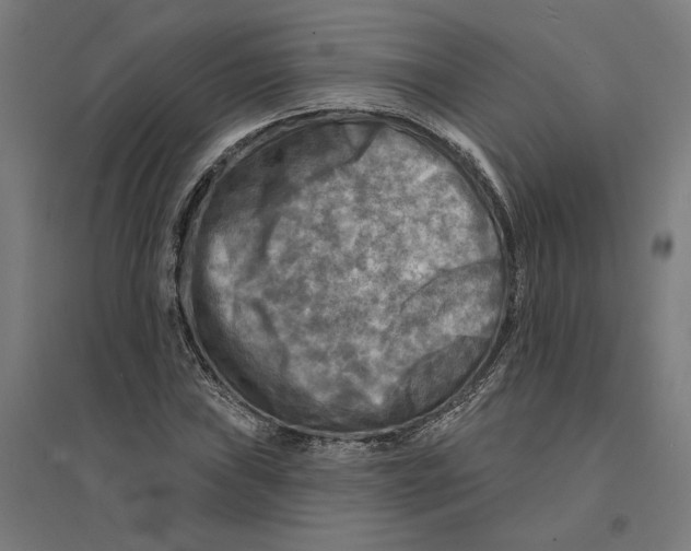 X0000094421019200712061046