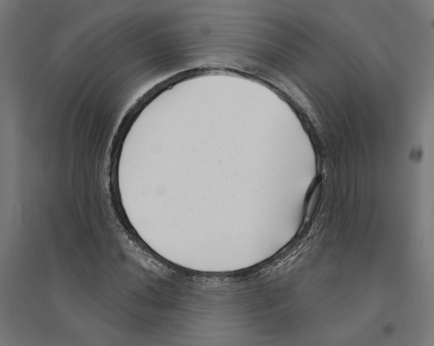 X0000094421020200712061046