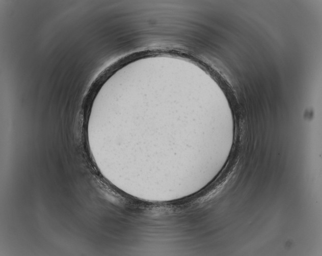 X0000094421021200712061046