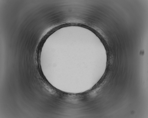 X0000094421022200712061046