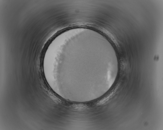 X0000094421023200712061046