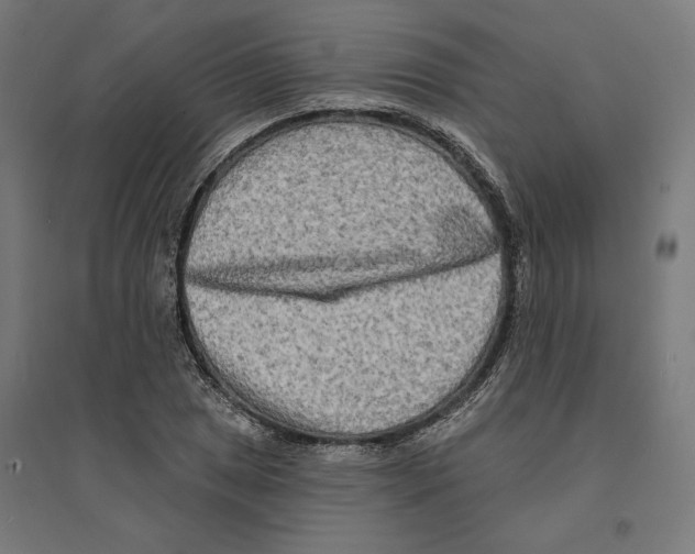 X0000094421025200712061046