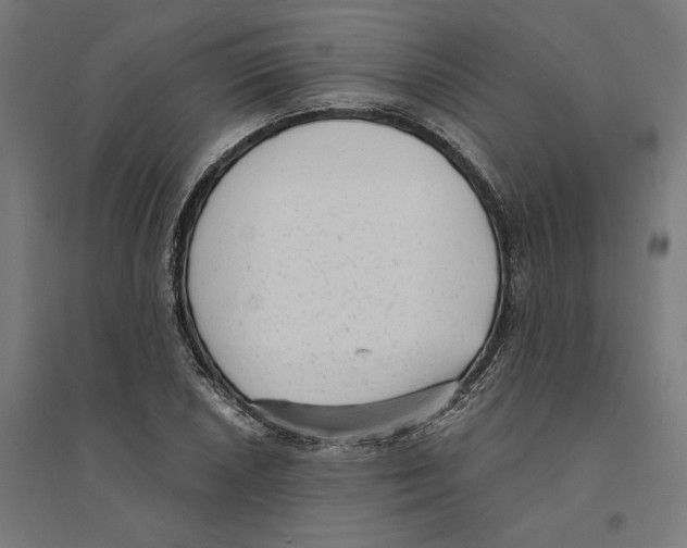 X0000094421026200712061046