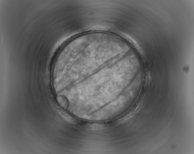 X0000094421027200712061046