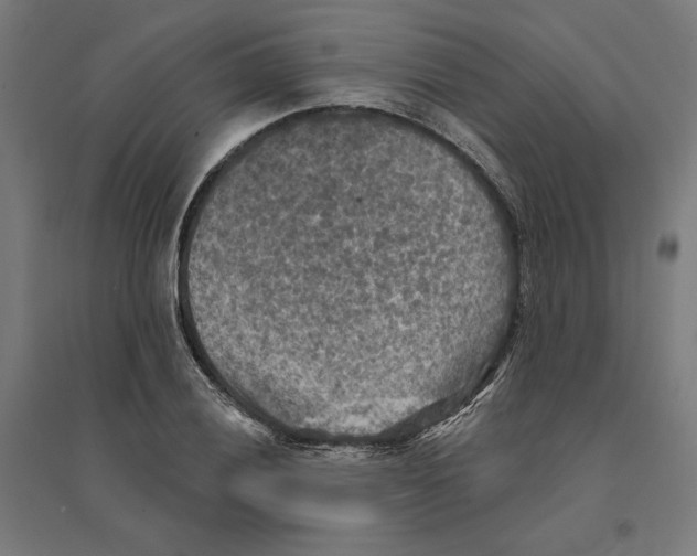 X0000094421028200712061046