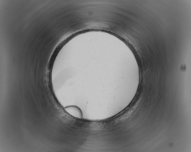 X0000094421029200712061046