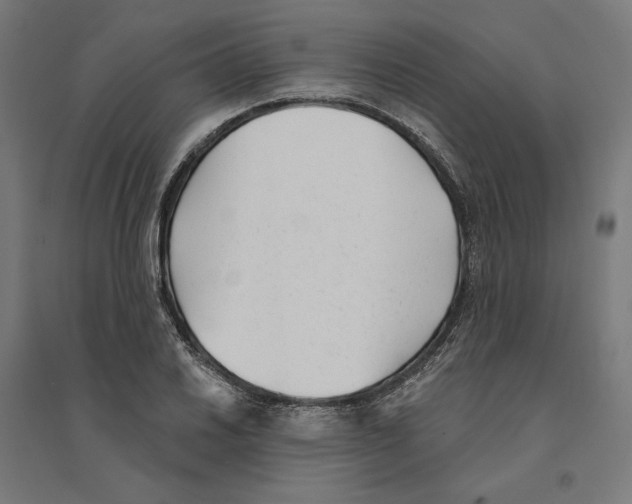 X0000094421030200712061046