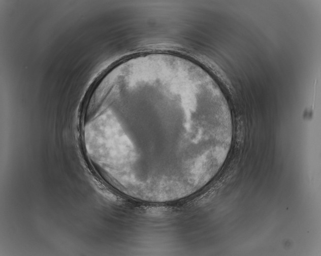 X0000094421031200712061046