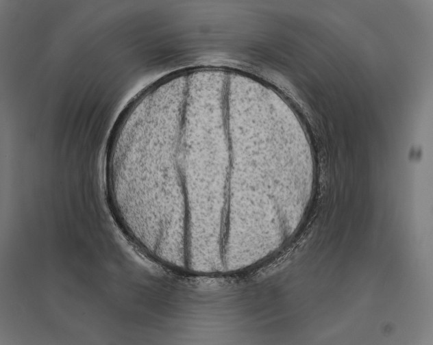 X0000094421032200712061046