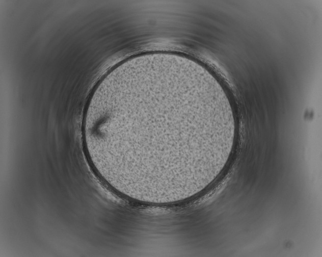 X0000094421033200712061046