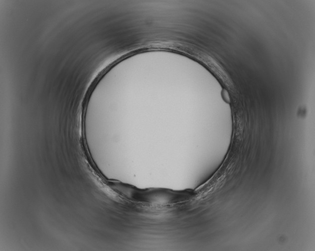 X0000094421036200712061046