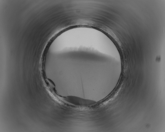 X0000094421037200712061046