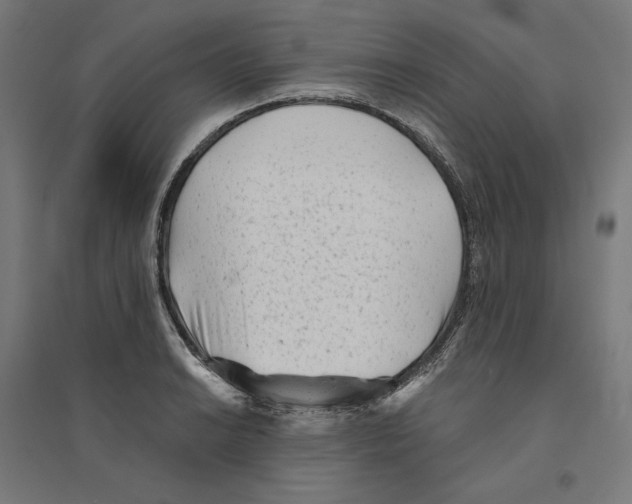 X0000094421038200712061046