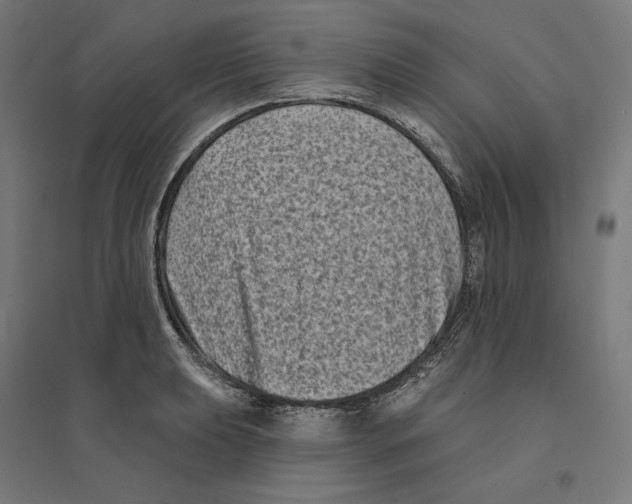 X0000094421039200712061046