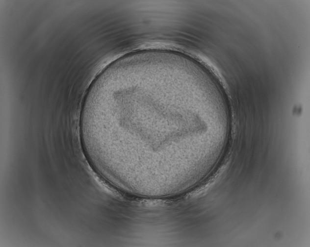 X0000094421041200712061046