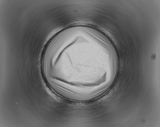 X0000094421042200712061046