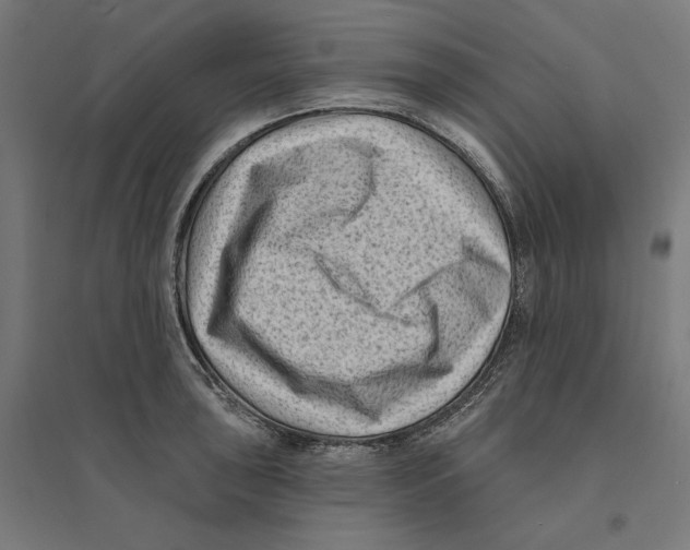 X0000094421043200712061046