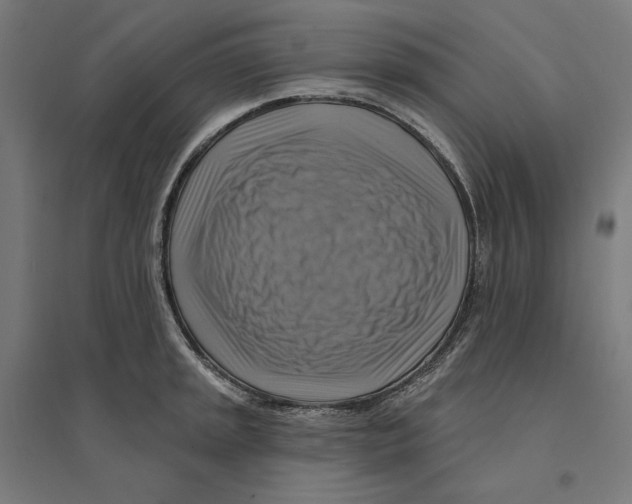 X0000094421045200712061046