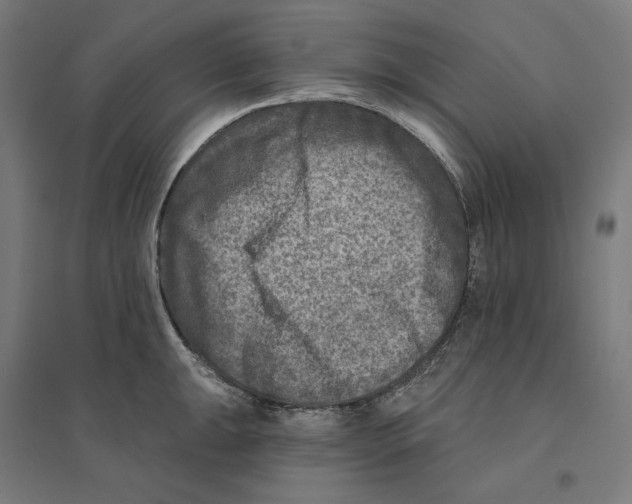 X0000094421047200712061046