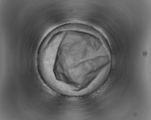 X0000094421048200712061046