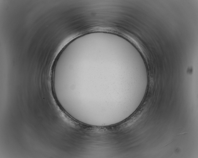 X0000094421050200712061046