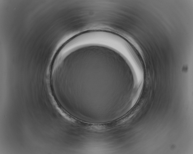 X0000094421053200712061047