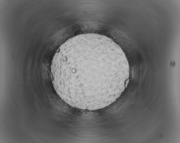 X0000094421059200712061046