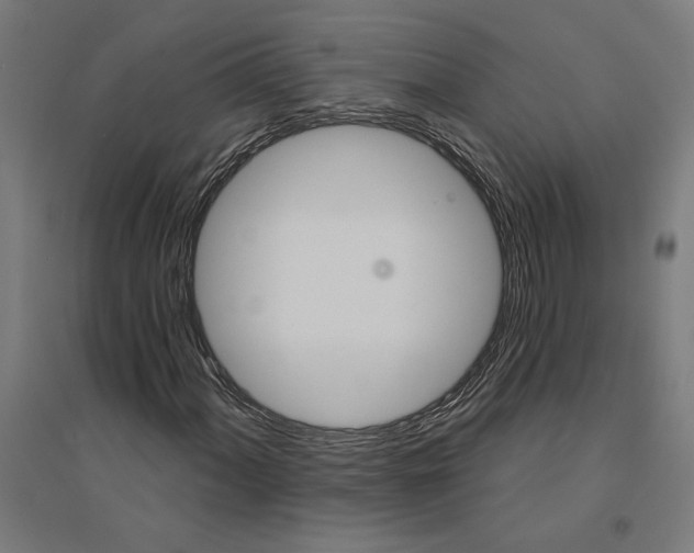 X0000094421060200712061046