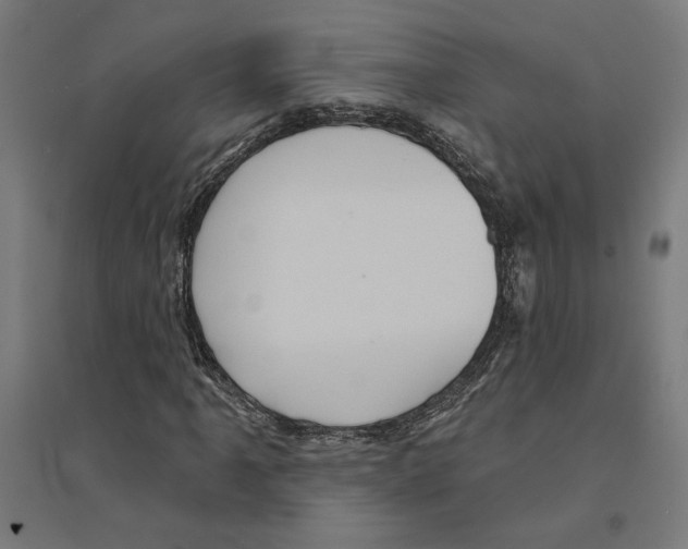 X0000094421061200712061046